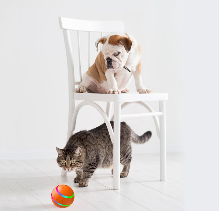 Interactive Self-Rotating Cat Ball – USB Rechargeable Toy For Active Cats